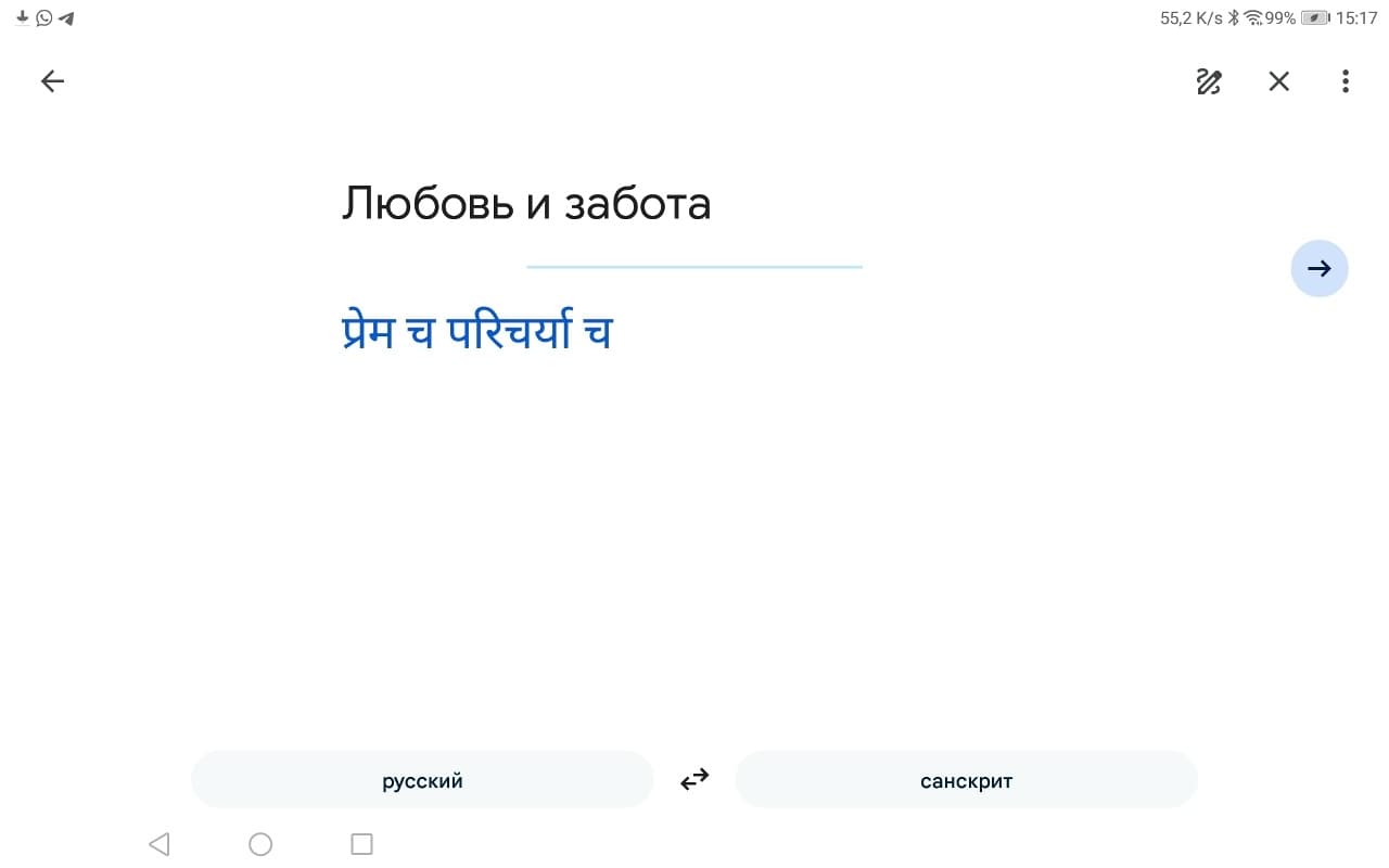 Дридха-Ракша «Непоколебимая Защита» — фото 3